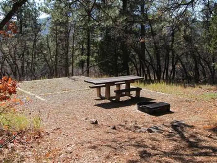 TARGET TREE CAMPGROUND