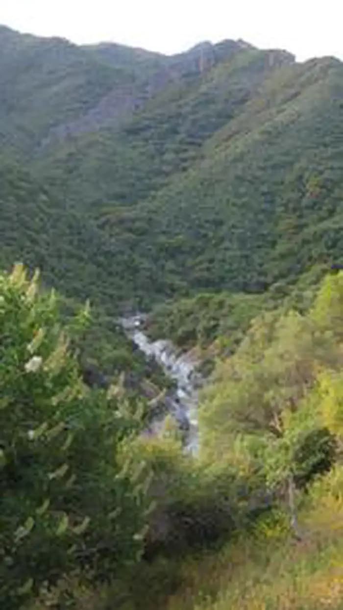 BUCKEYE FLAT CAMPGROUND