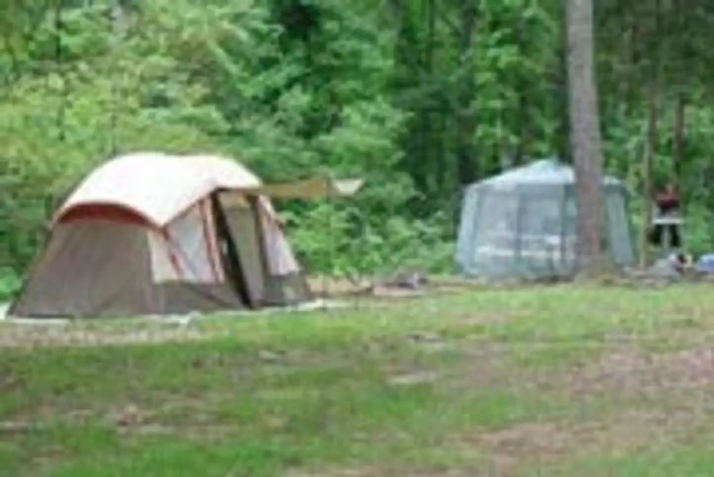 Dub Patton Recreation Area