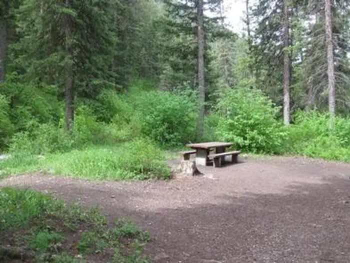 Spire Rock Campground - campsite surrounded by pine trees, picnic table & fire ring