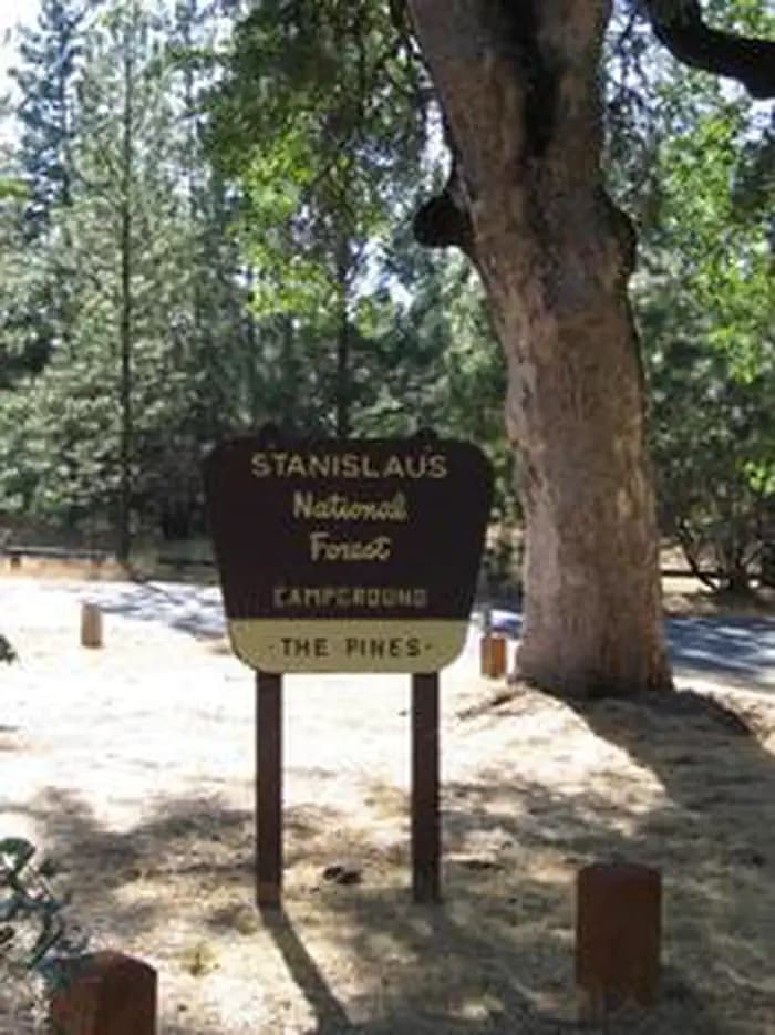 PINES GROUP STANISLAUS