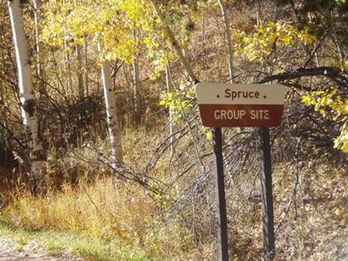 SPRUCE GROUP - LAKE ISABEL