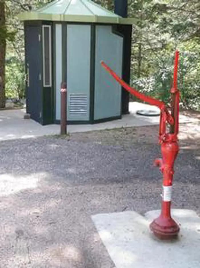 SPRUCE GROUP - LAKE ISABEL