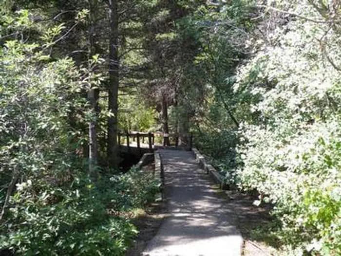 PONDEROSA GROUP - LAKE ISABEL