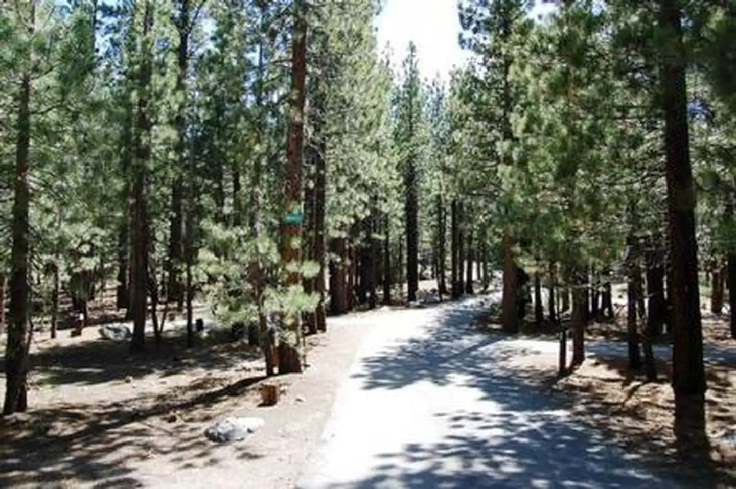 NEW SHADY REST CAMPGROUND