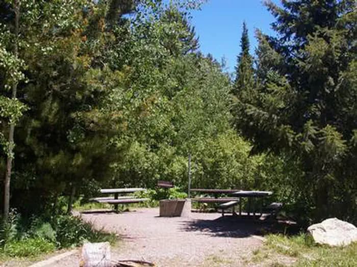 Big Springs campsite in the sun