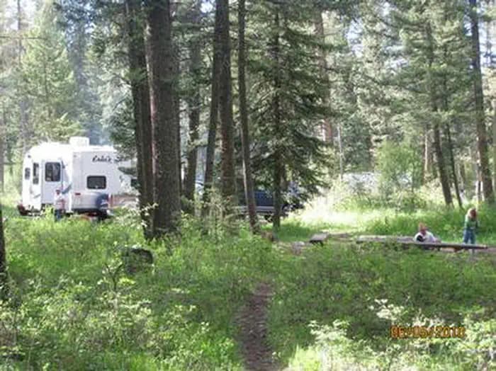 Campsite surrounded by pine trees,  picnic table & fire ring, children playing & RV