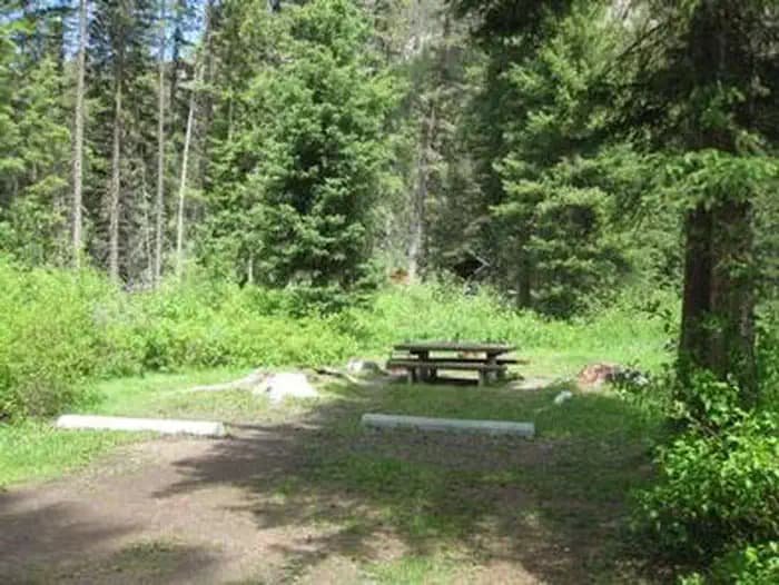Campsite surrounded by pine trees,  picnic table & fire ring
