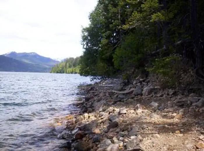 Looking from narrow, rocky lake shore lined with trees over choppy water to a far off mountain under bright, cloudy sky.