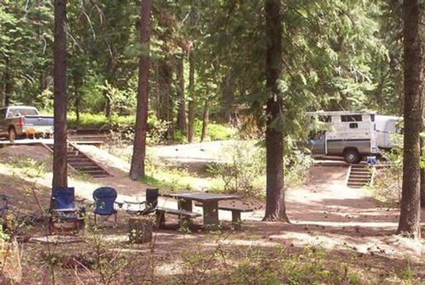 Campsites in Spring Creek Campground surrounded by Ponderosa Pine trees.
