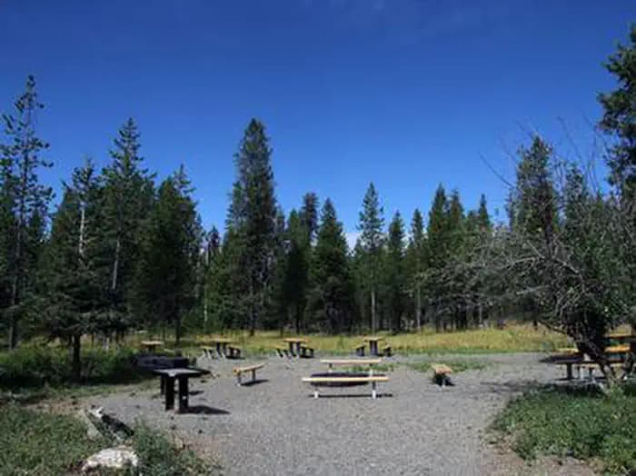 Sunny campsite at Cold Springs Campground