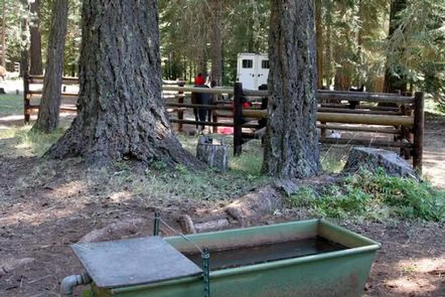 WILLOW PRAIRIE HORSECAMP