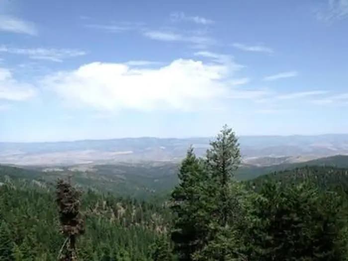 FALL MOUNTAIN LOOKOUT CABIN