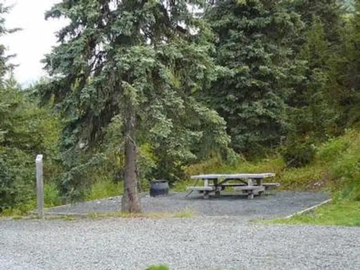 TENDERFOOT CREEK