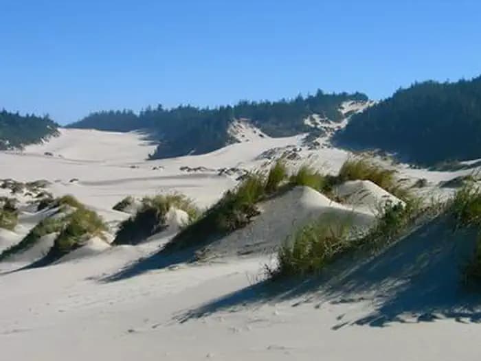 A large expanse of flat sand, some grass covered dunes and conifer covered hills in the background under blue sky.