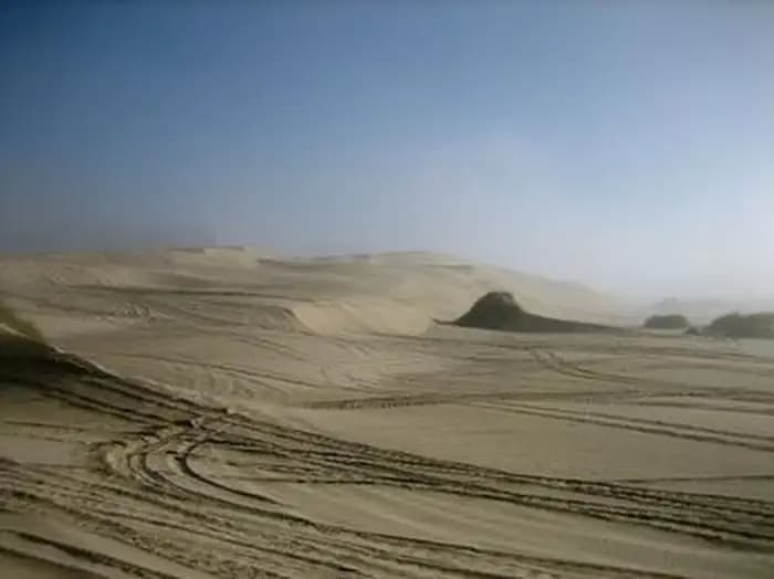 Sand dunes covered in OHV tracks, fog almost burned off.
