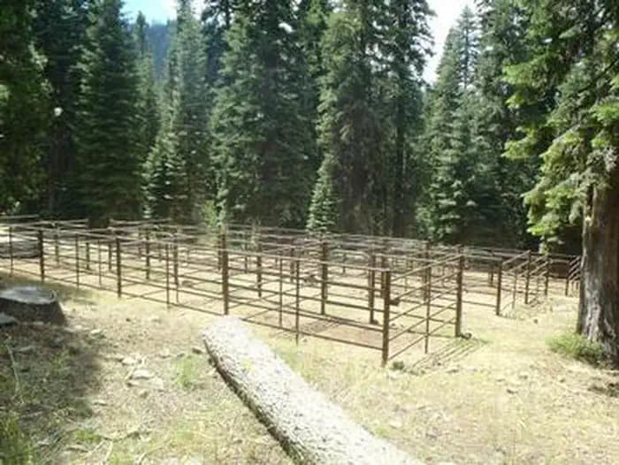 CARTER MEADOWS HORSE GROUP