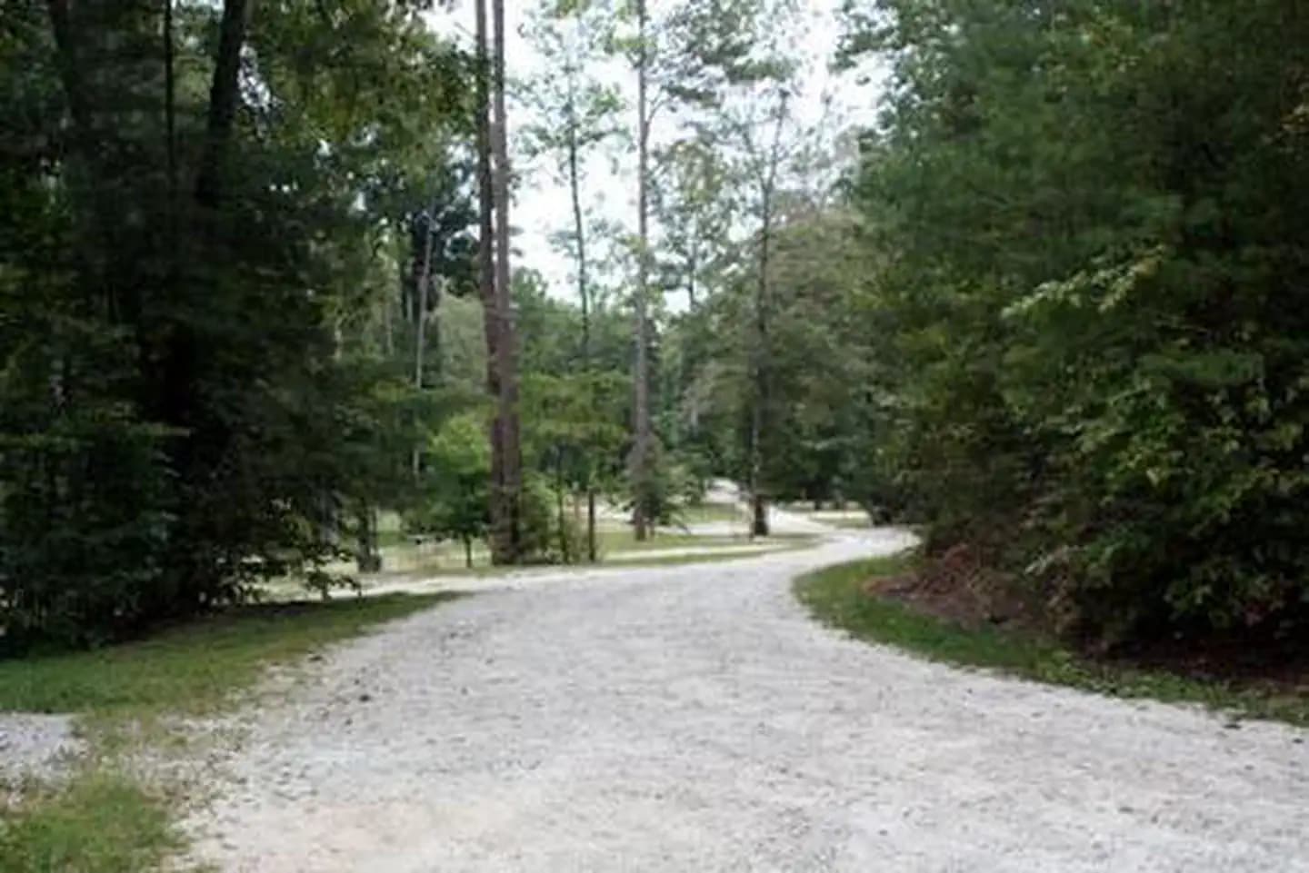 WHETSTONE HORSE CAMP