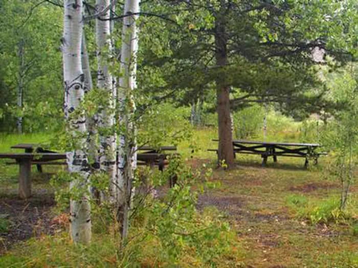 ALLRED FLATS GROUP PICNIC SITE