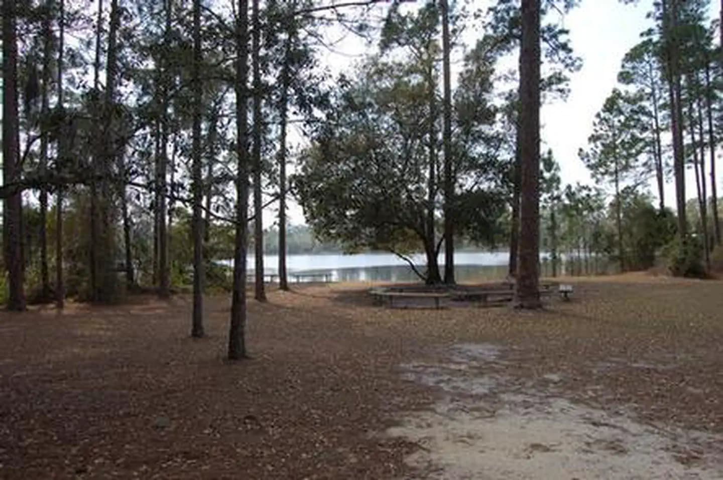 LAKE SHORE GROUP CAMP