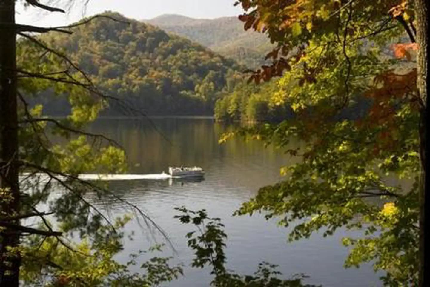 CHEOAH POINT CABIN 1