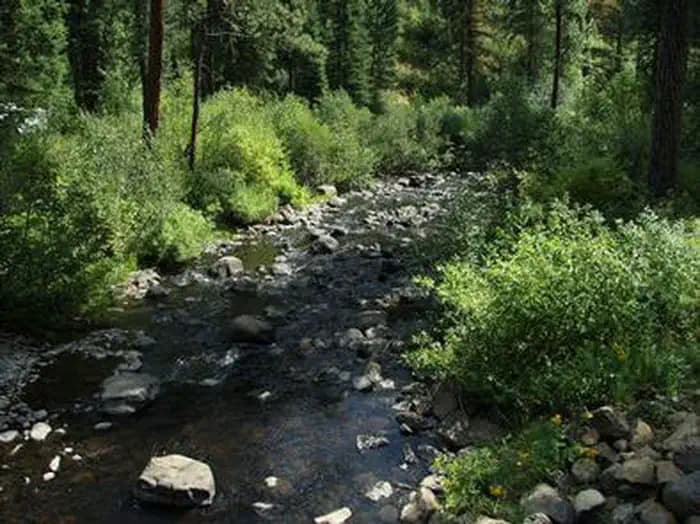 EVERGREEN CAMPGROUND - creek
