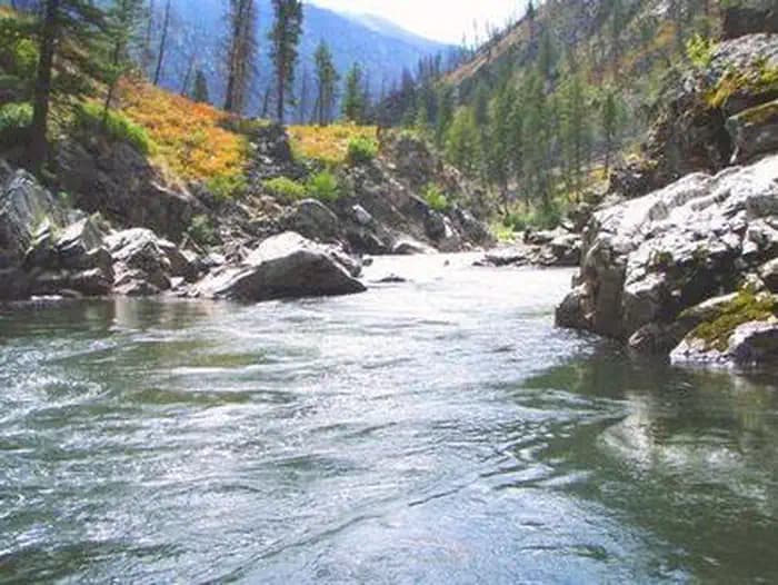 Crystal clear waters of the Middle Fork of the Salmon River