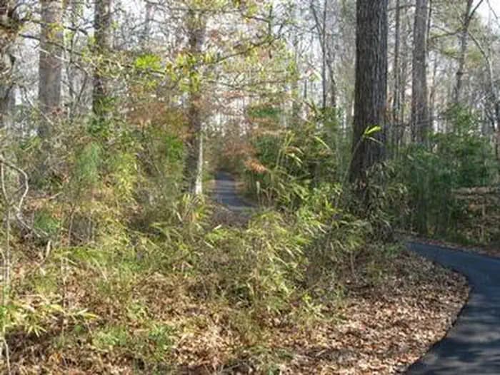 FLANNERS BEACH CAMPGROUND