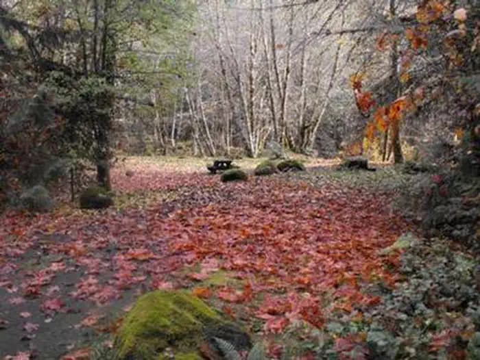 FRENCH PETE CAMPGROUND