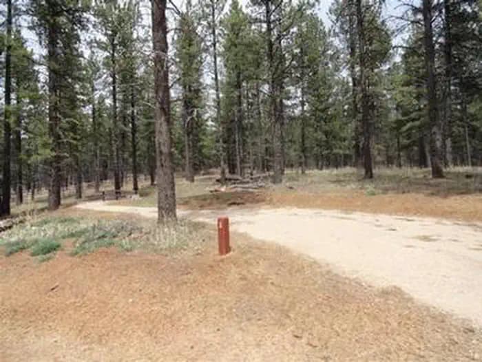 Pioneer CG Camping Site