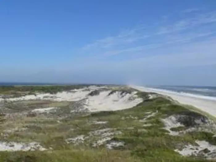 Sand dunes with vegetation and white sand beaches