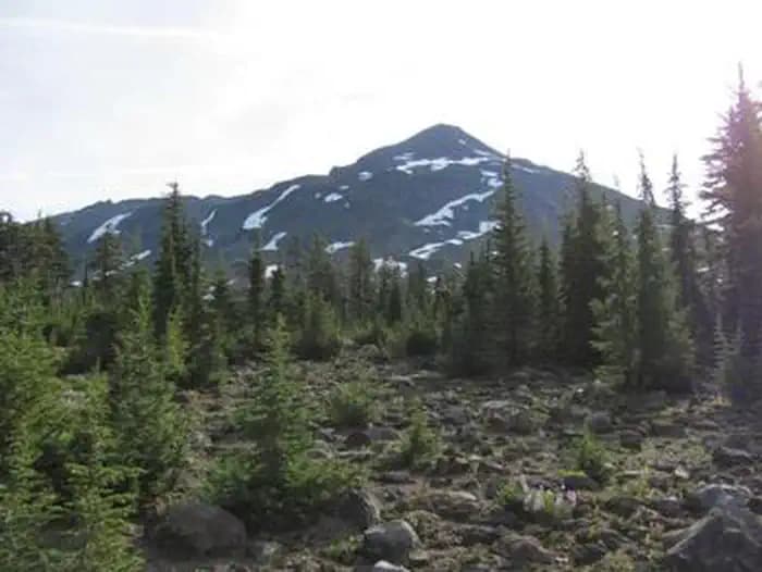 Obsidian Limited Entry Area