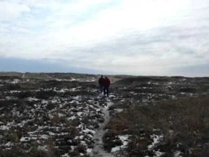 Two people hiking along trail with low vegetation