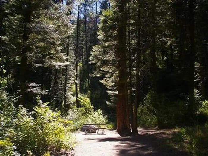 COLD SPRINGS CAMPGROUND - Campsite