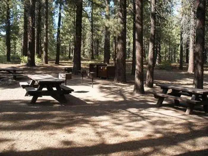 PINE GLEN