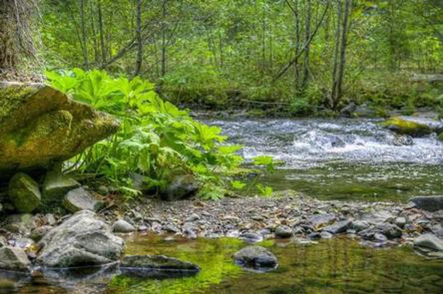 Panther Creek campground