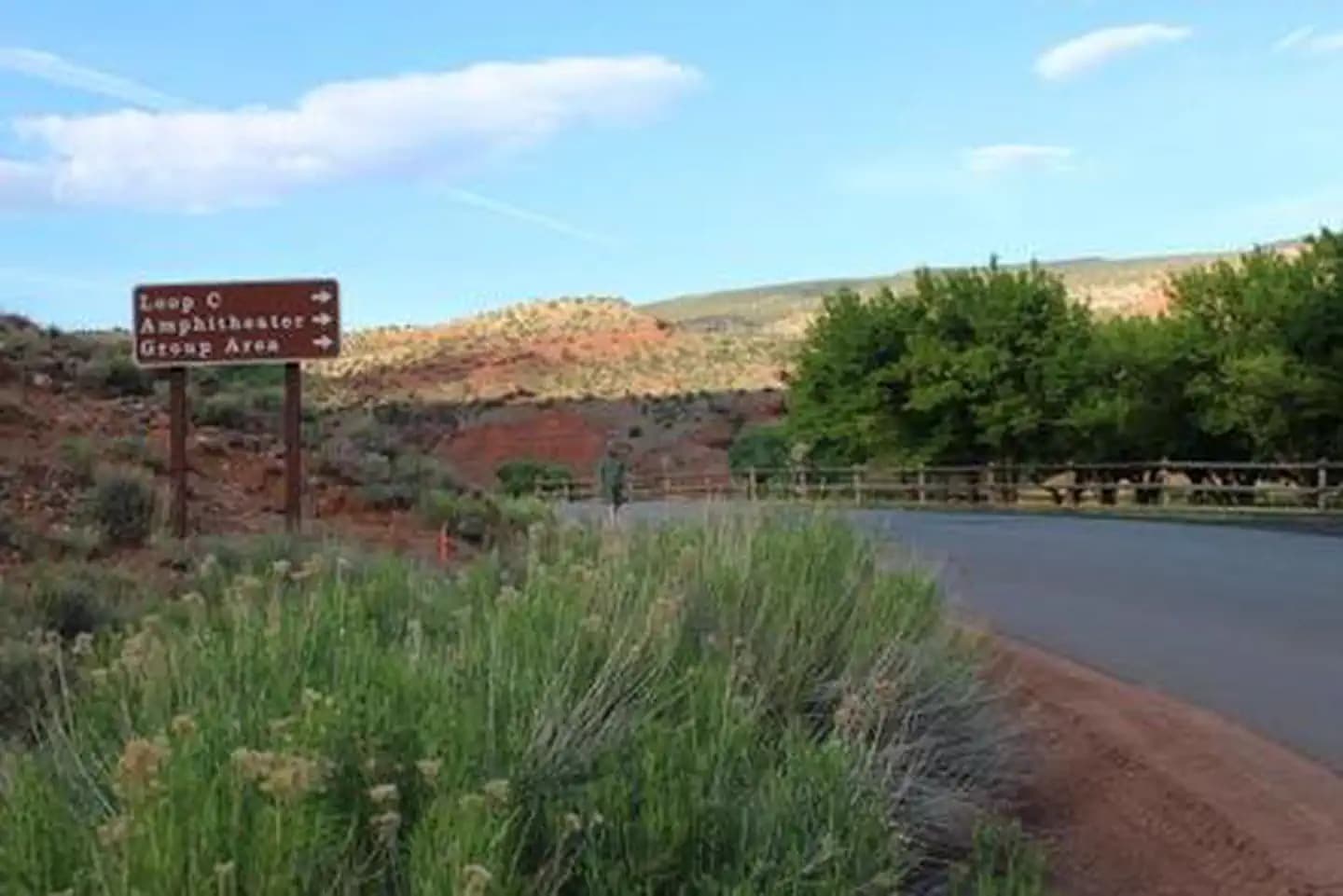A paved road. To the right side there is desert fauna and a brown sign reading: "Loop C *right arrow* Amphitheater *right arrow* Group Area *right arrow*". To the left side is a fence and some trees. There is a brown-red color hill against a blue sky in the background.
