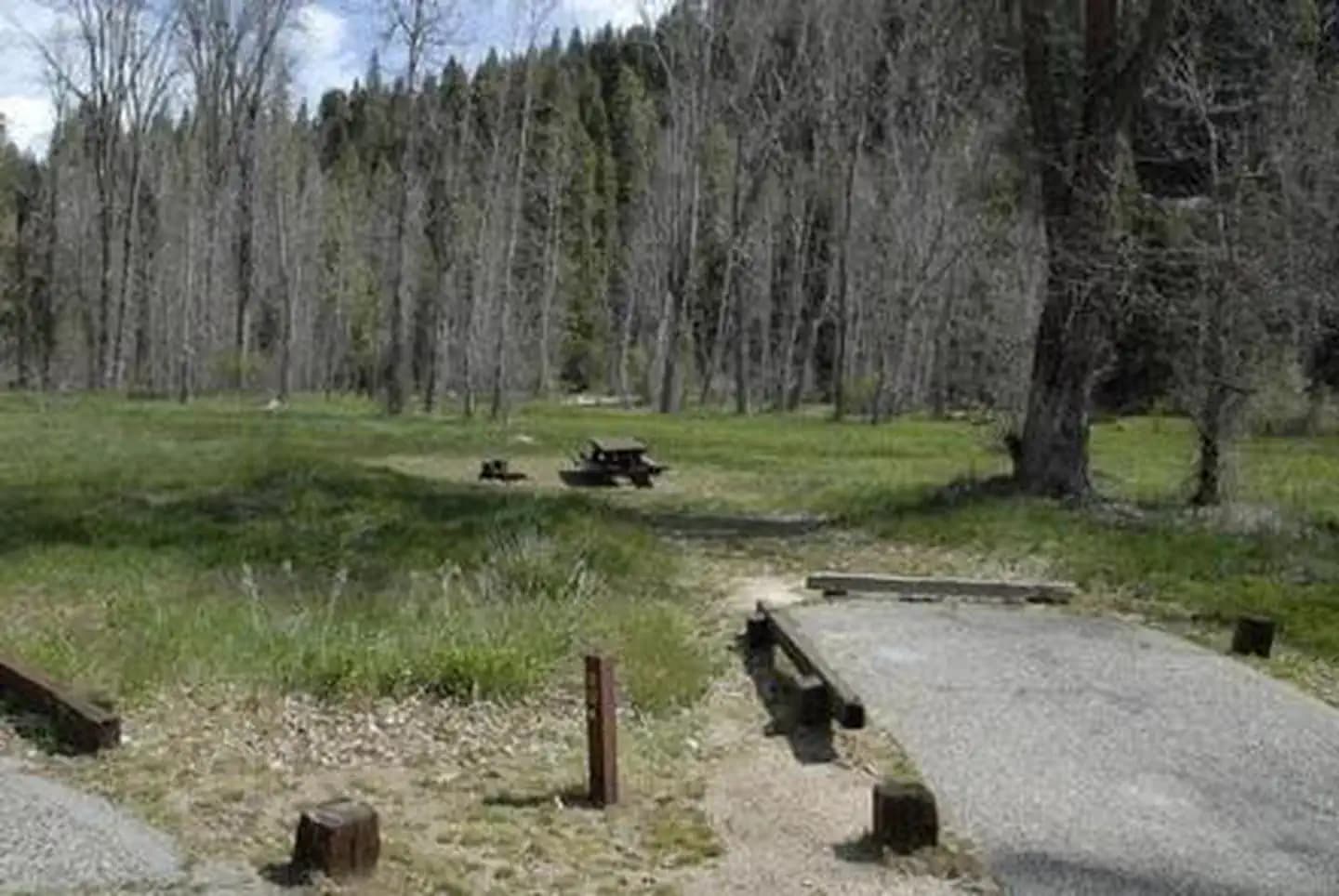 SUMMERDALE CAMPGROUND