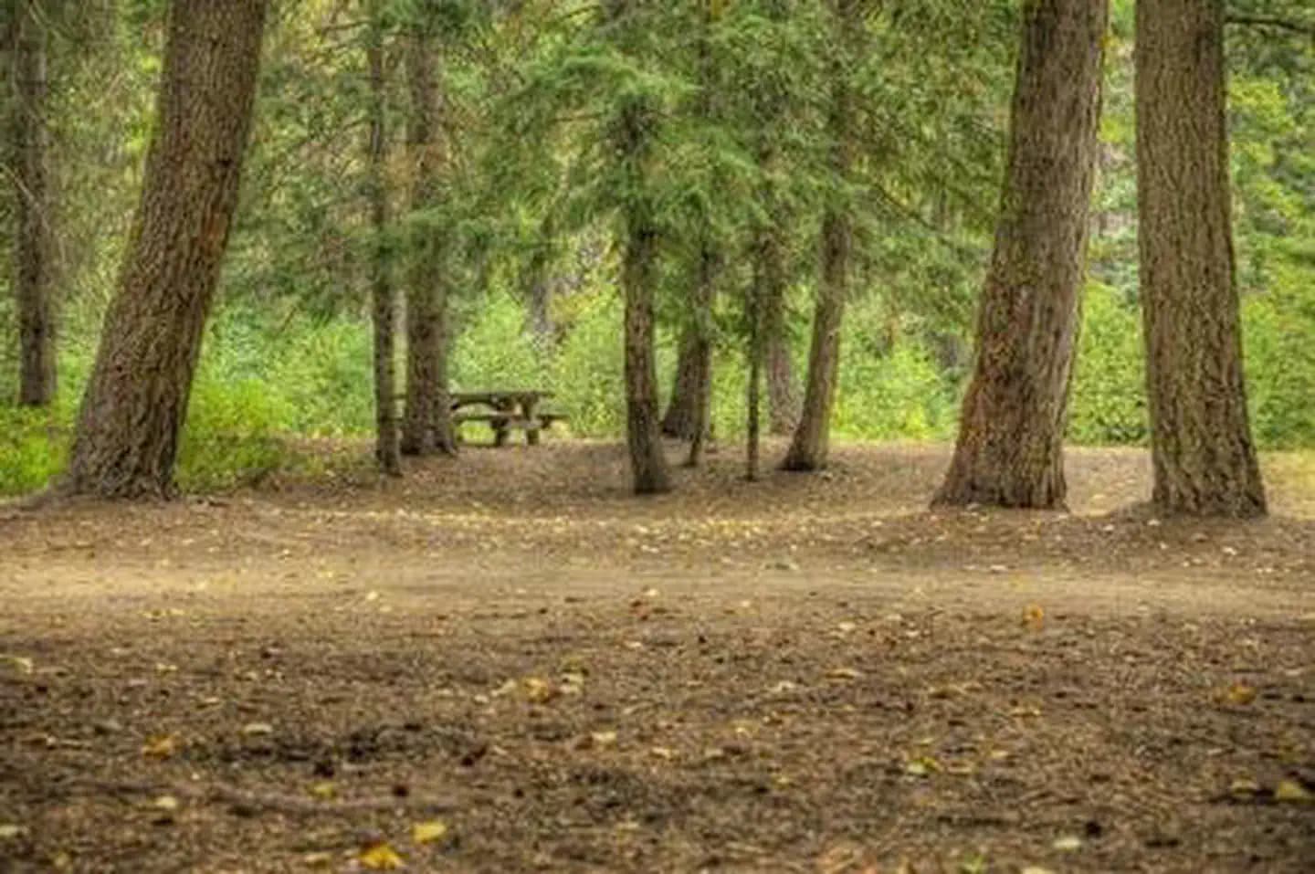 HELLS CROSSING CAMPGROUND