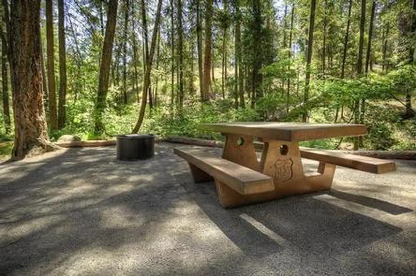 Picnic table and fire pit in a campsite