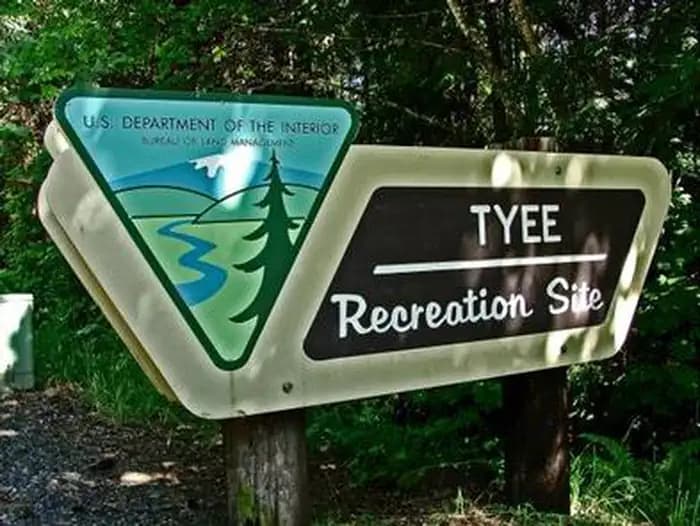 Tyee Campground Sign