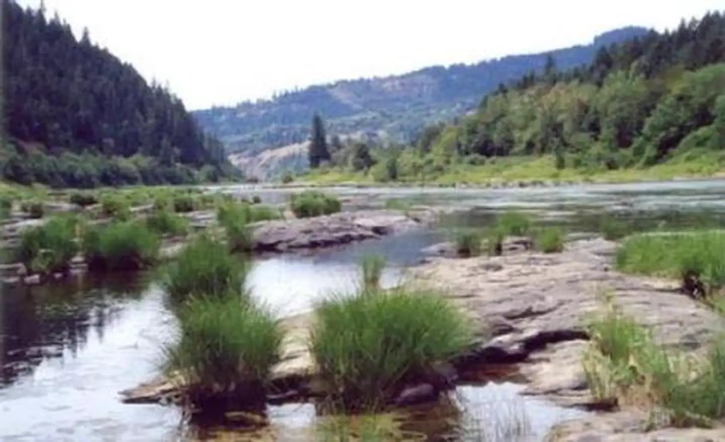 River level view of the Umpqua River at Tyee Campground.