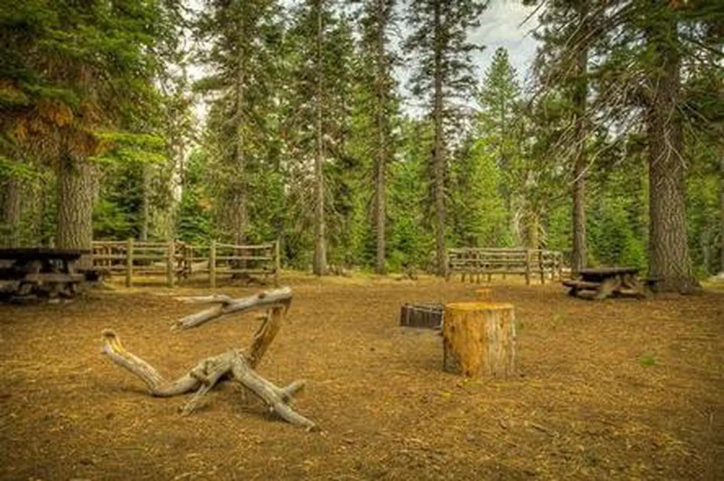 Whispering Pines Horse Camp