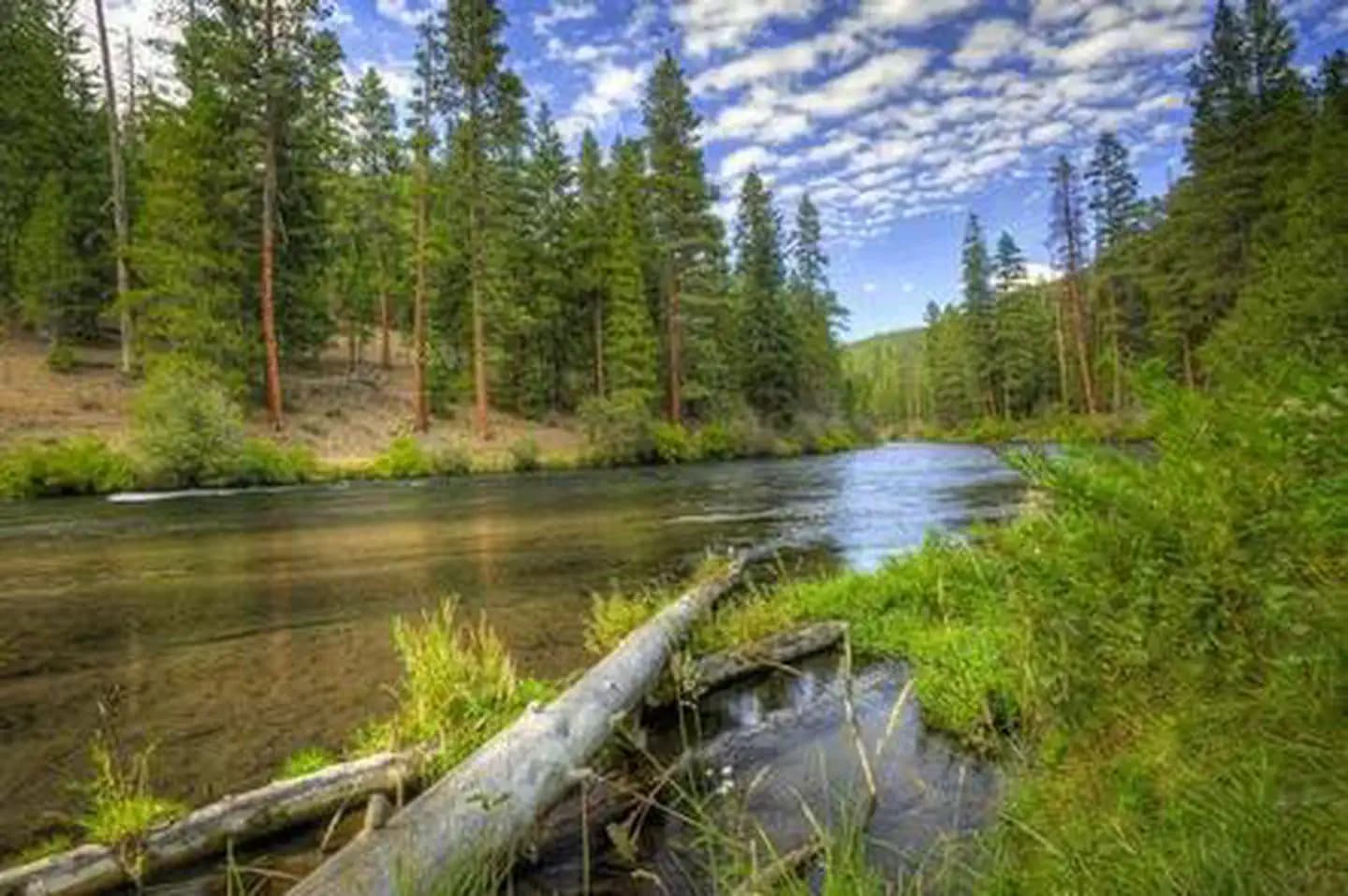 Pioneer Ford Campground