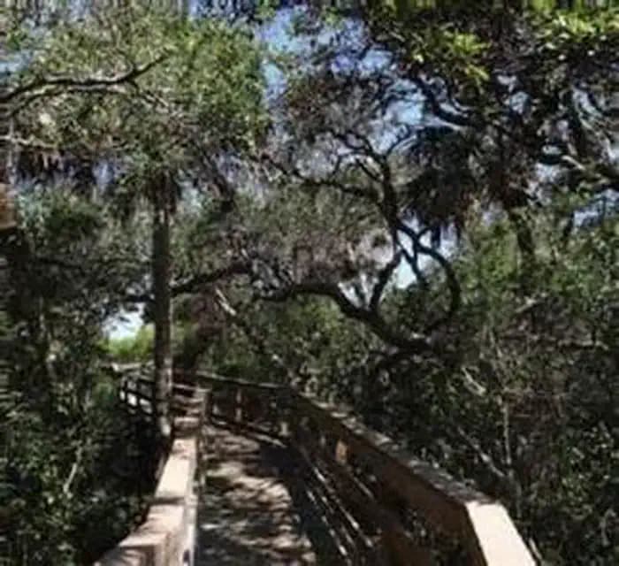 Canaveral National Seashore Permits