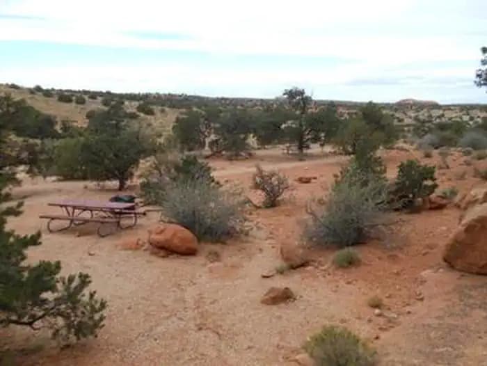 Windwhistle Group Site (2)