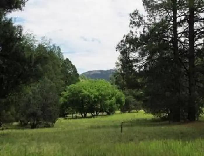 REYNOLDS CREEK GROUP CAMPGROUND