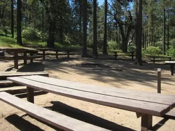 Picnic Table area at Buttercup Group Camp