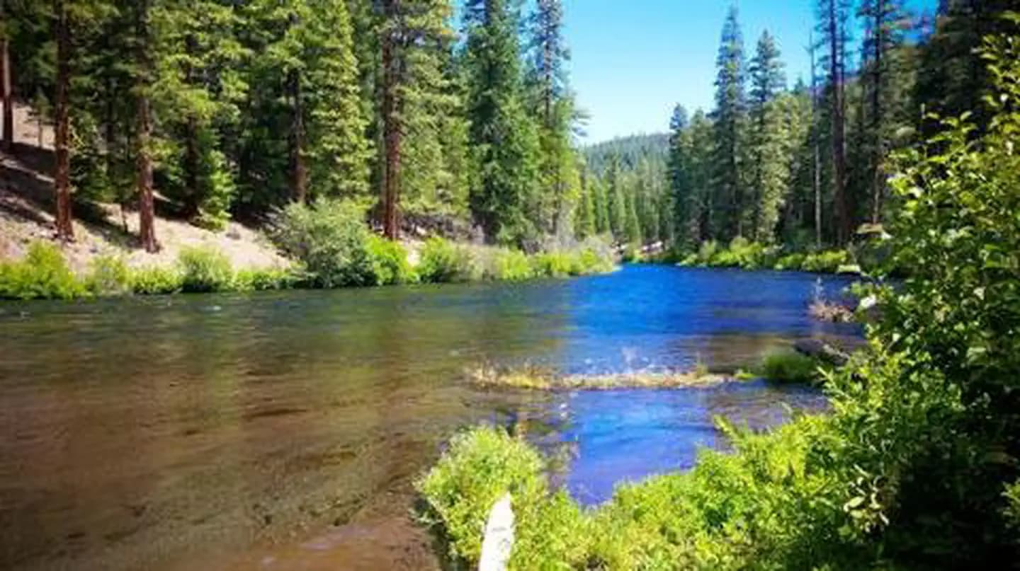 Pioneer Ford Campground