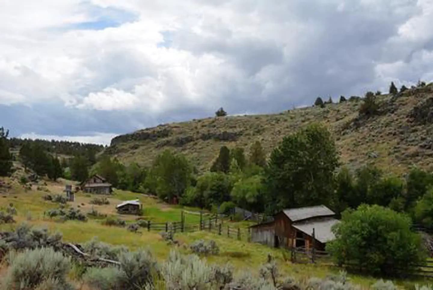 Riddle Brothers Ranch